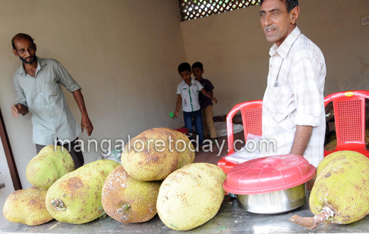 Jackfruit fest at pilikula